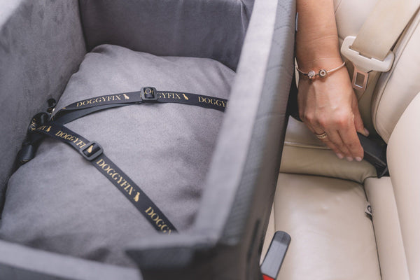 Hundesitz mit ISOFIX - DOGGYFIX