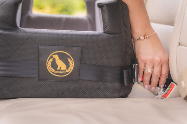 Hundesitz mit ISOFIX - DOGGYFIX