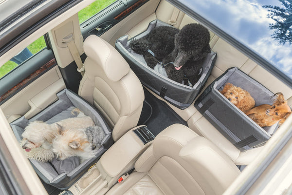 Hundesitz mit ISOFIX - DOGGYFIX