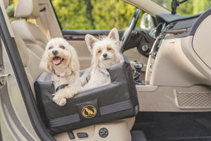 Zwei weiße kleine Hunde im luxuriösen Doggyfix Hundesitz mit ISOFIX im Auto auf dem Beifahrersitz.